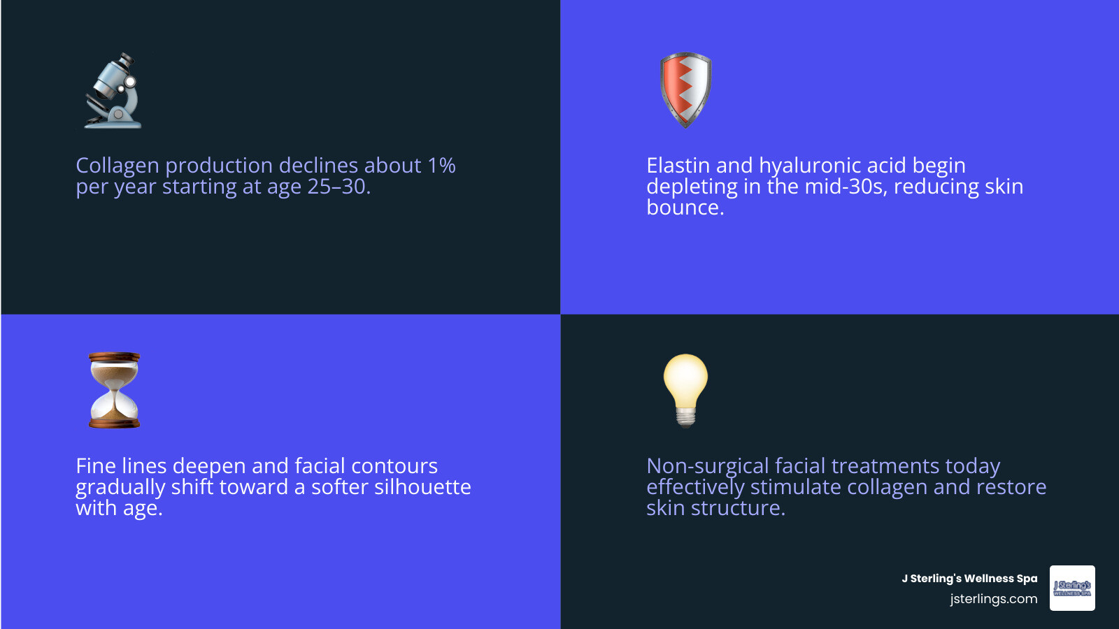 infographic showing the 7 best facials for aging skin ranked by concern and downtime infographic infographic showing the 7 best facials for aging skin ranked by concern and downtime infographic