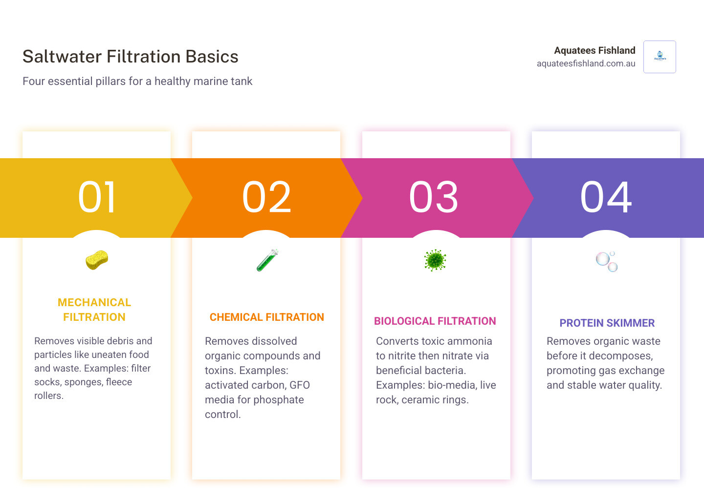 Saltwater aquarium filtration basics infographic showing mechanical, chemical, biological, skimmer, and RO/DI stages