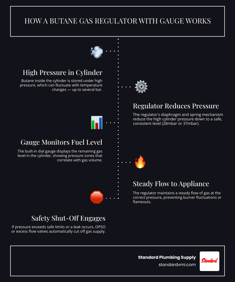 How a butane gas regulator with gauge controls pressure and monitors fuel levels infographic How a butane gas regulator with gauge controls pressure and monitors fuel levels infographic