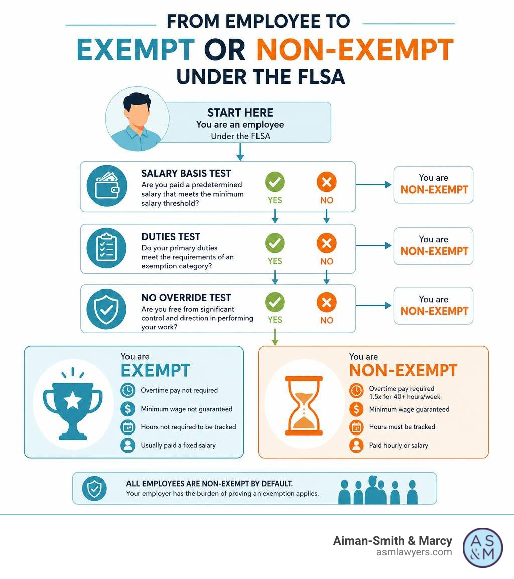 Infographic showing the path from employee to exempt or non-exempt status under the FLSA infographic