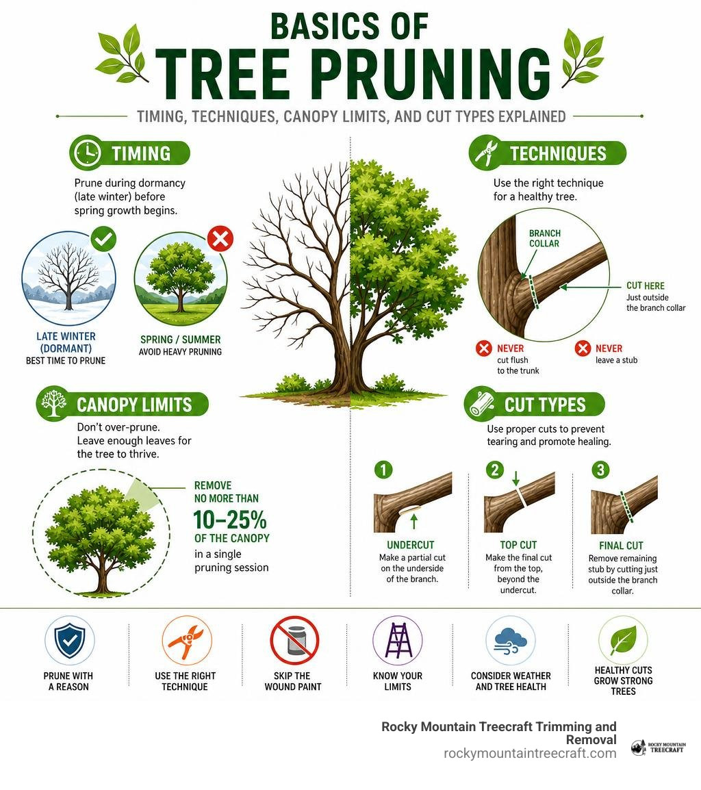 Basics of tree pruning: timing, techniques, canopy limits, and cut types explained infographic Basics of tree pruning: timing, techniques, canopy limits, and cut types explained infographic