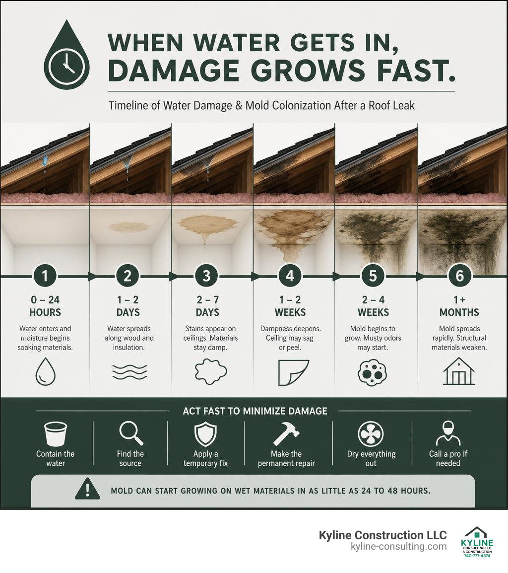 Timeline infographic showing water damage and mold colonization stages after a roof leak infographic Timeline infographic showing water damage and mold colonization stages after a roof leak infographic