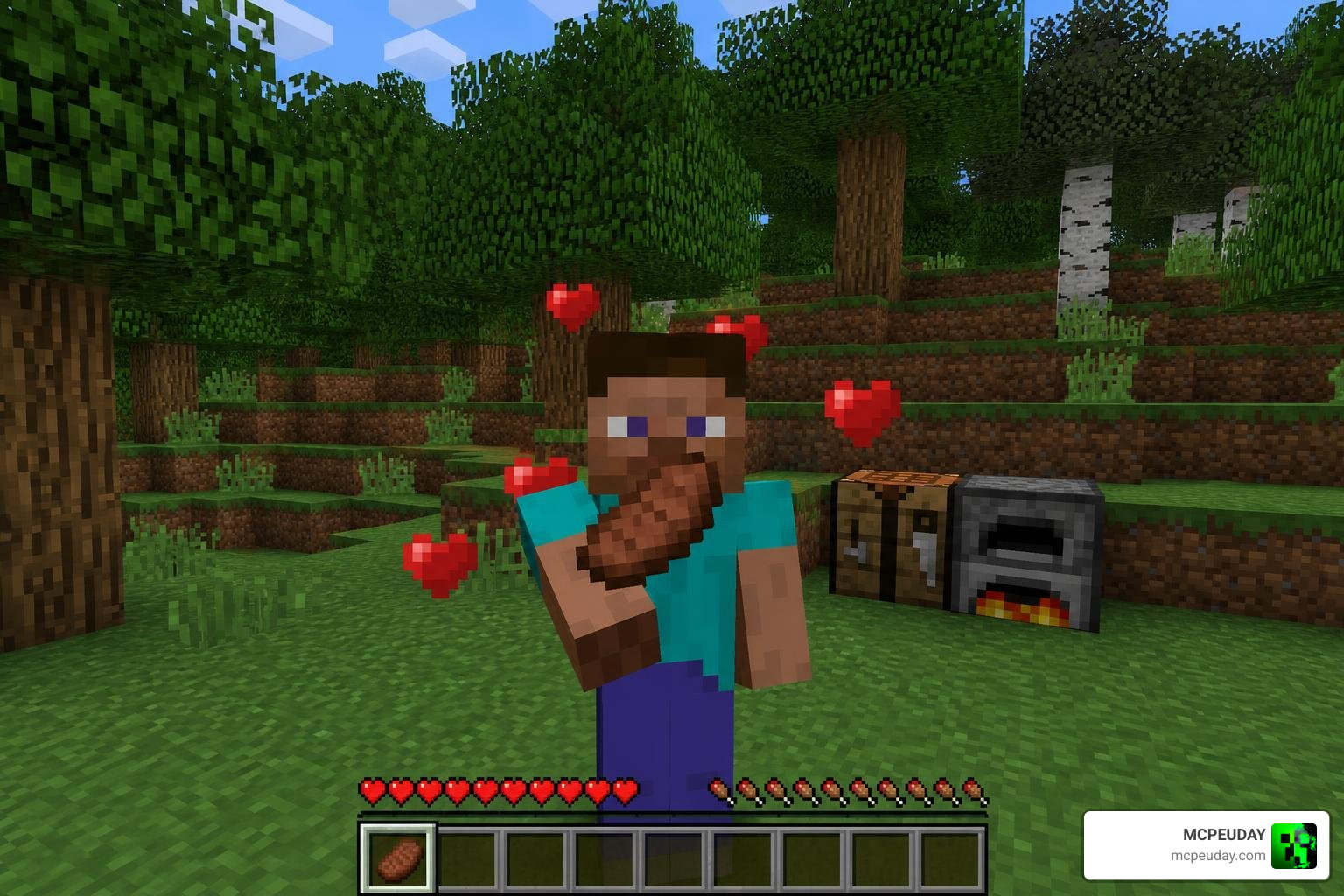 Java Saturation & Regeneration Addon Minecraft Bedrock hunger health