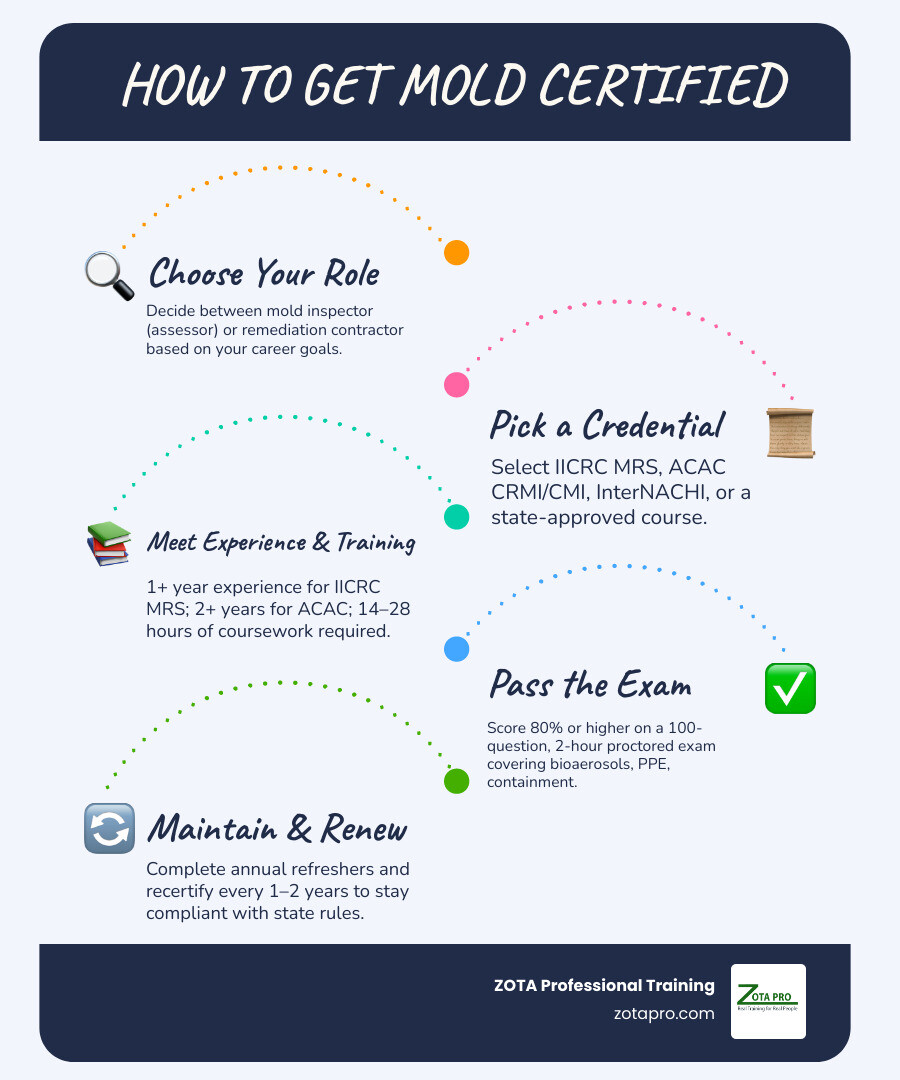 Step-by-step path to becoming a certified mold professional: role, credential, training, exam, state license, renewal Step-by-step path to becoming a certified mold professional: role, credential, training, exam, state license, renewal