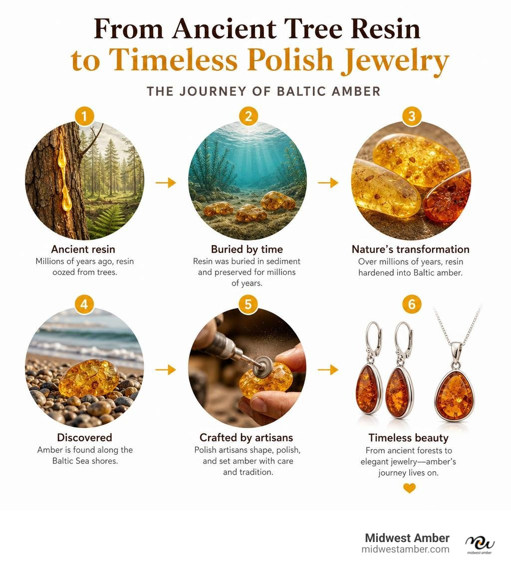 How Baltic amber forms from ancient tree resin to finished Polish jewelry — key stages infographic infographic How Baltic amber forms from ancient tree resin to finished Polish jewelry — key stages infographic infographic