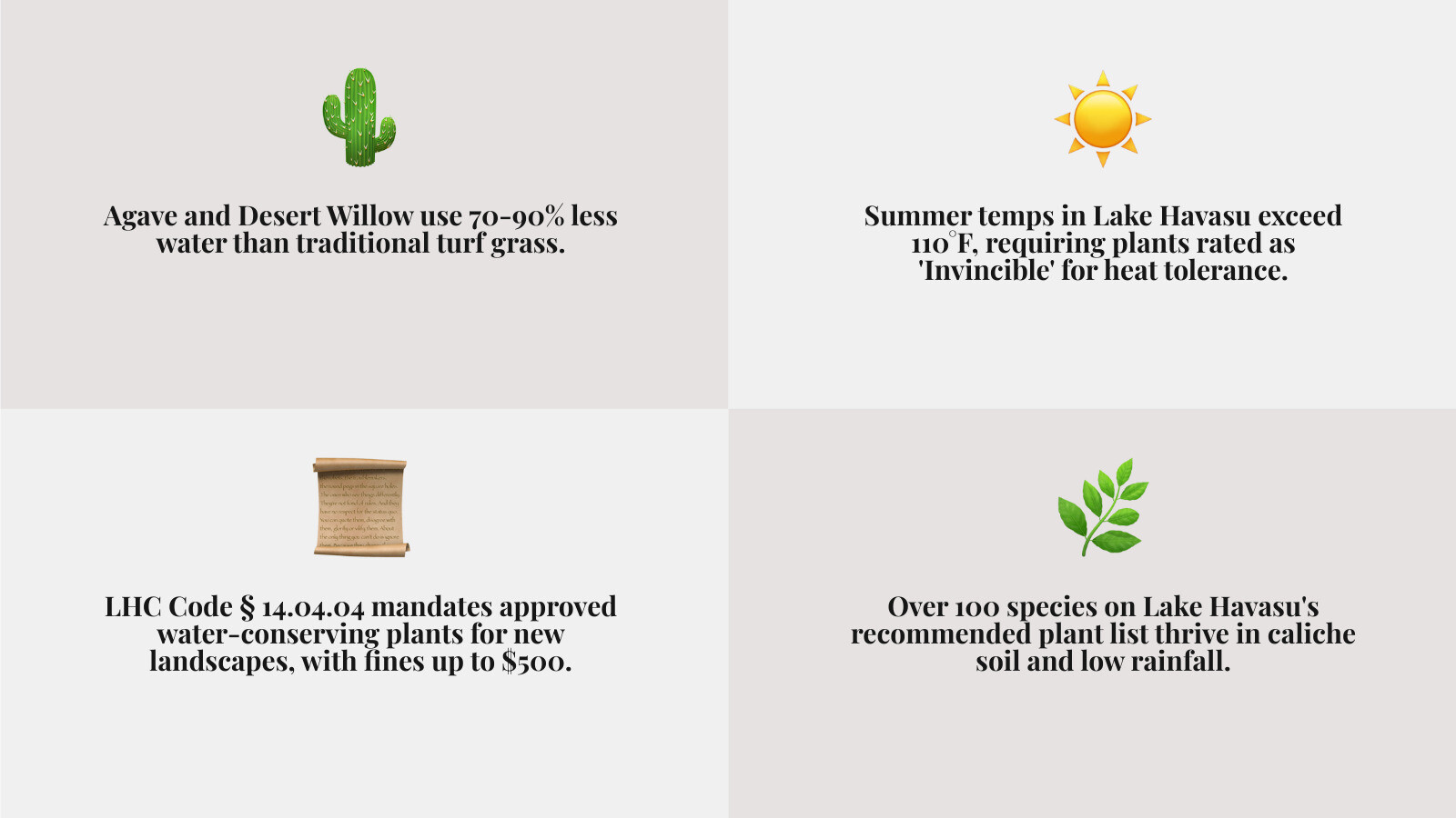 Infographic showing top drought tolerant plants for Lake Havasu City with water use ratings and key benefits infographic