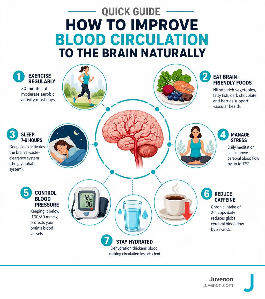 Quick guide infographic on how to improve blood circulation to the brain naturally infographic Quick guide infographic on how to improve blood circulation to the brain naturally infographic