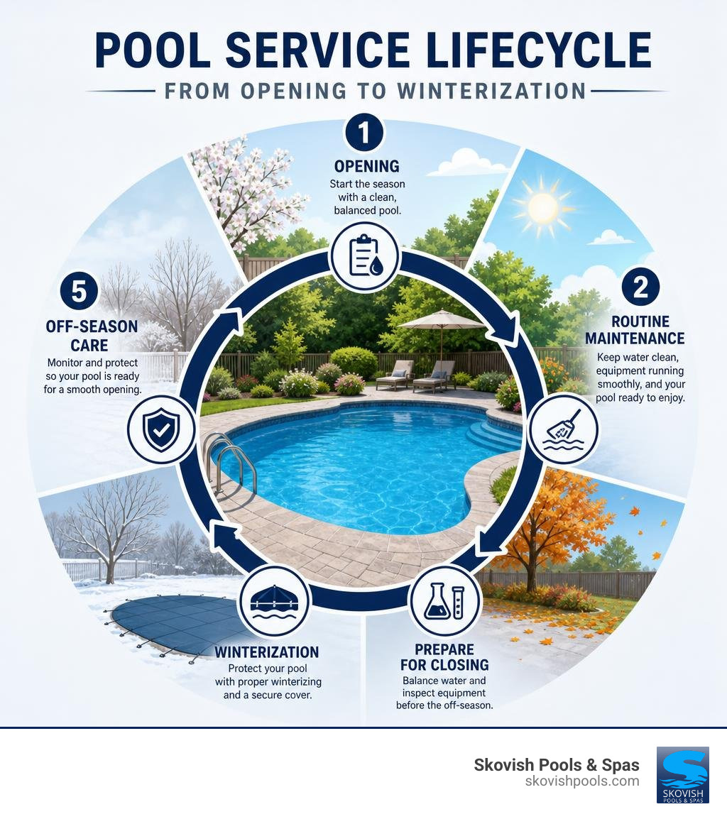 Pool service lifecycle from opening to winterization infographic infographic