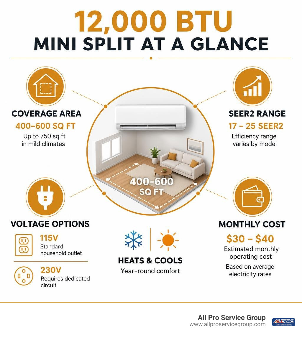 Infographic: 12000 BTU mini split coverage area, SEER2 range, voltage options, and monthly cost summary infographic