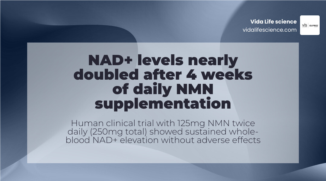 Infographic showing whole-blood NAD+ levels doubling after 4 weeks of daily NMN supplementation infographic