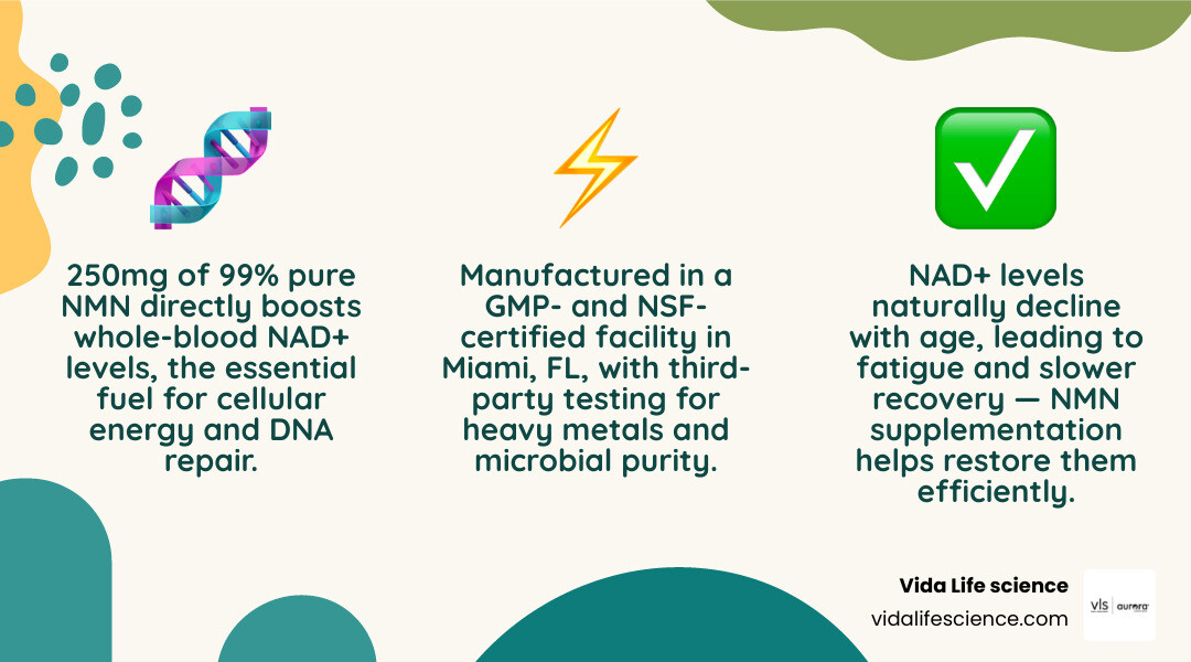 Infographic showing key facts about MAAC10 NMN 250mg dose, purity, NAD+ benefits, and quality certifications infographic