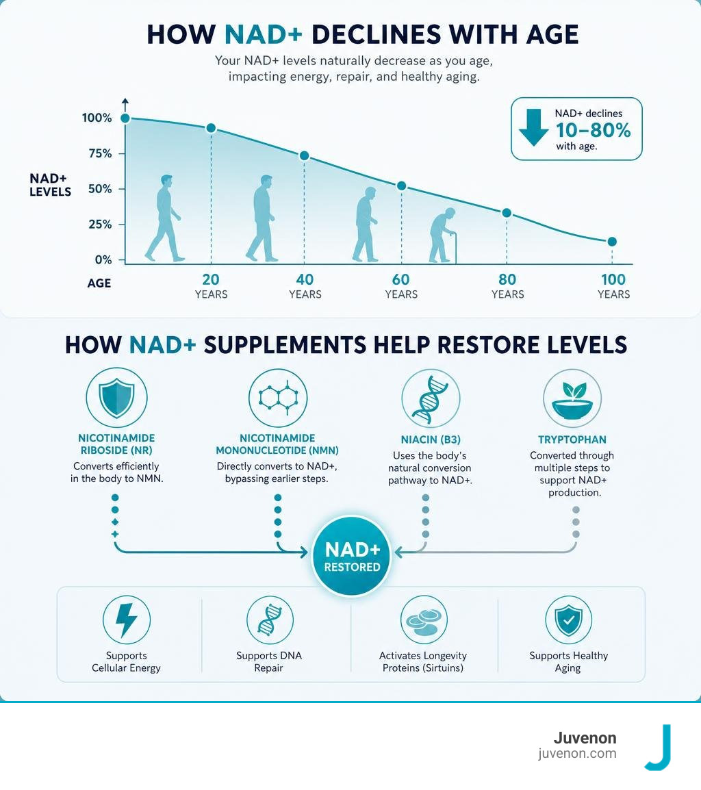 How NAD+ declines with age and what each supplement form does to restore it infographic