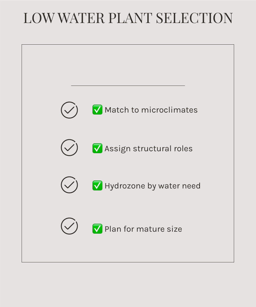 Infographic showing xeriscape plant layers and structural roles for low desert landscapes infographic Infographic showing xeriscape plant layers and structural roles for low desert landscapes infographic
