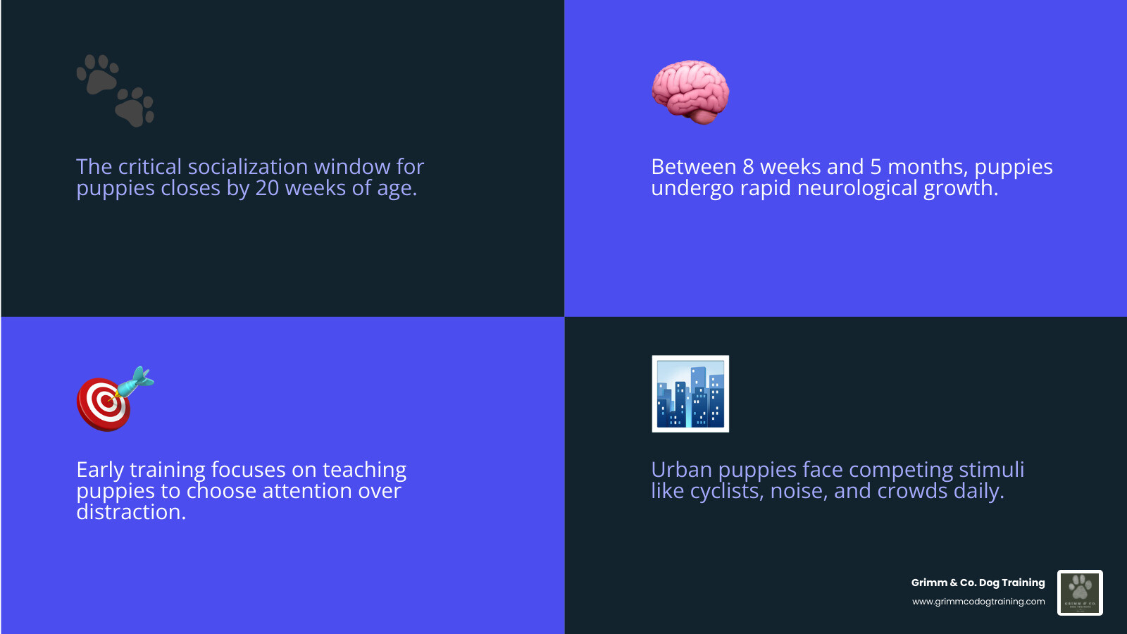 Key milestones in puppy behavioral development from 8 weeks to 5 months infographic