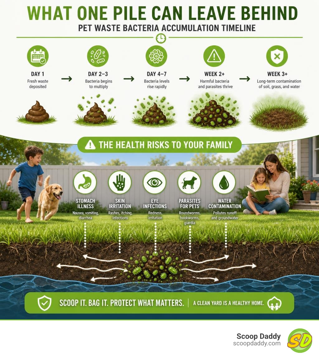 infographic showing pet waste bacteria accumulation timeline and health risks in a backyard infographic infographic showing pet waste bacteria accumulation timeline and health risks in a backyard infographic