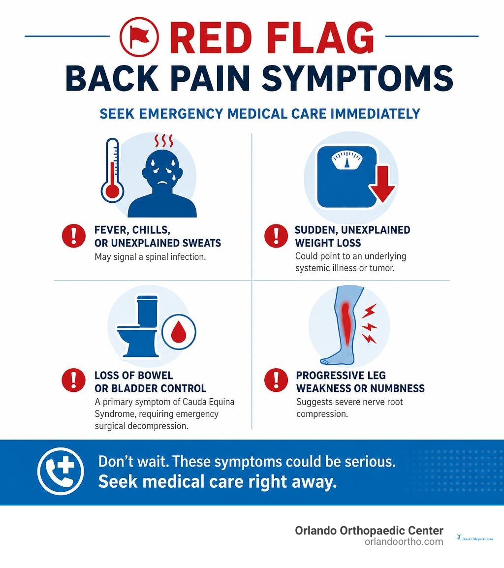 Infographic highlighting critical red flag symptoms for emergency medical care infographic Infographic highlighting critical red flag symptoms for emergency medical care infographic