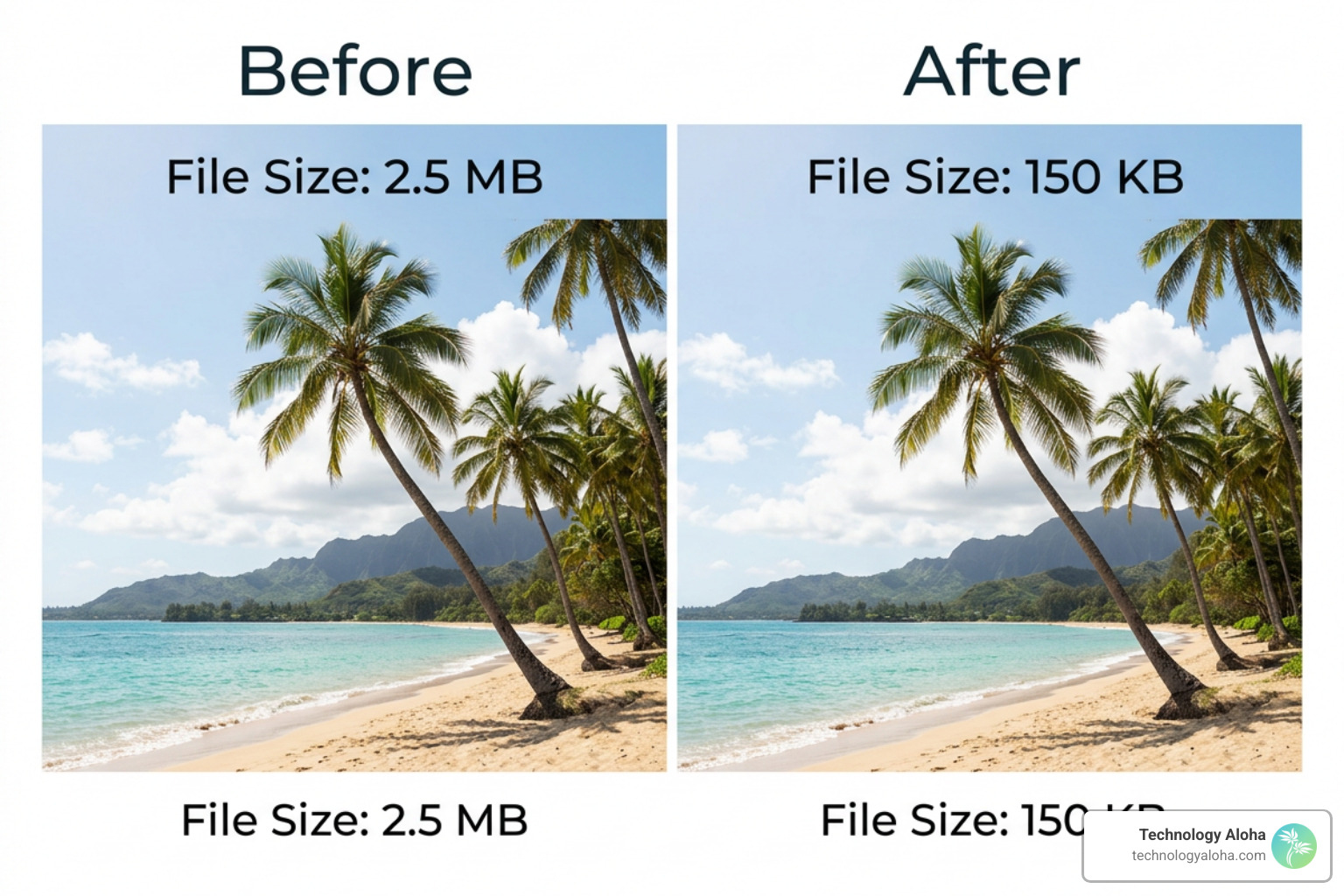Image compression side-by-side comparison illustrating file size reduction without quality loss Image compression side-by-side comparison illustrating file size reduction without quality loss