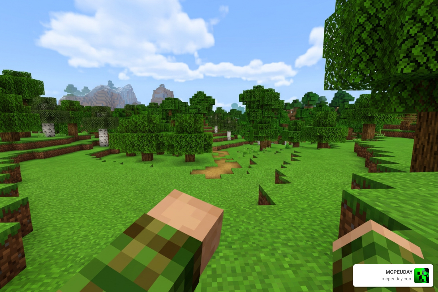 Comparison of shield held in hotbar versus invisible first-person rendering Comparison of shield held in hotbar versus invisible first-person rendering