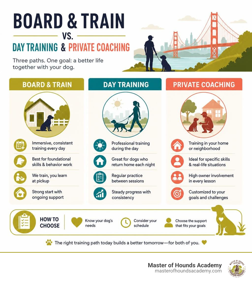 Board and train compared with day training and private coaching infographic Board and train compared with day training and private coaching infographic