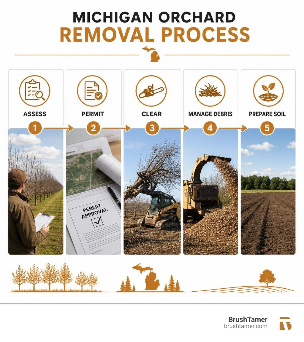 Michigan orchard removal process: assess, permit, clear, manage debris, prepare soil infographic
