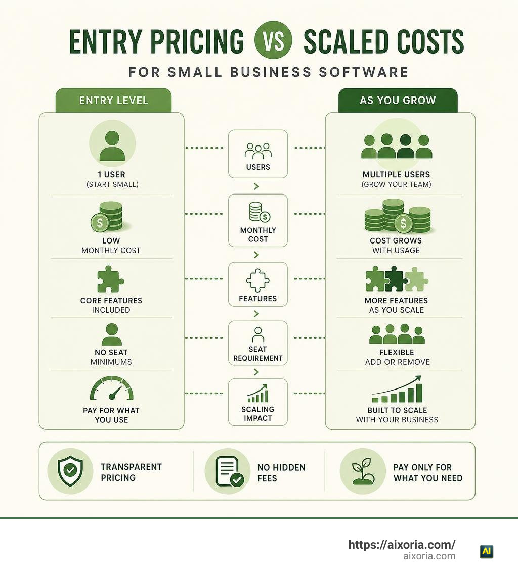 Breakdown of entry pricing vs scaled costs for small business software infographic