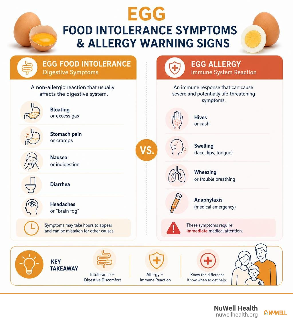 Egg food intolerance symptoms and allergy warning signs infographic Egg food intolerance symptoms and allergy warning signs infographic