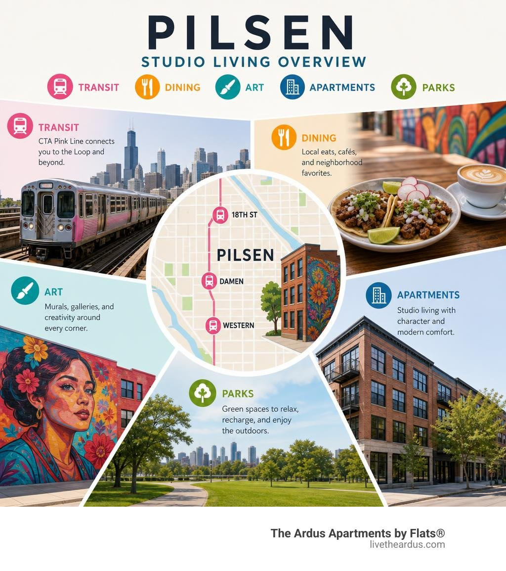 Pilsen studio living overview: transit, dining, art, apartments, and parks infographic