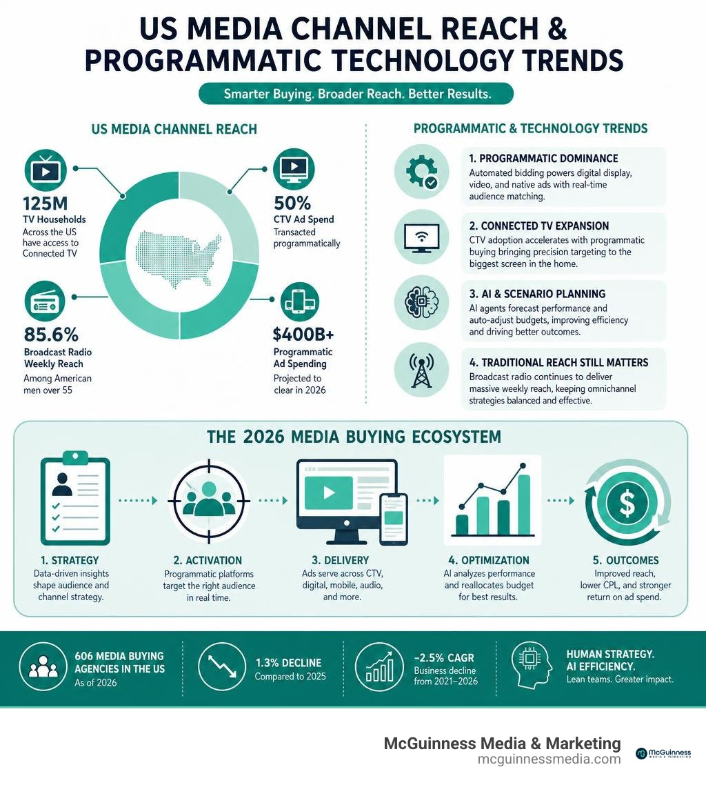 US media channel reach and programmatic technology trends infographic US media channel reach and programmatic technology trends infographic