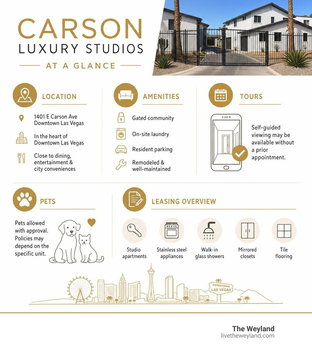 Carson Luxury Studios location amenities tours pets and leasing overview infographic Carson Luxury Studios location amenities tours pets and leasing overview infographic