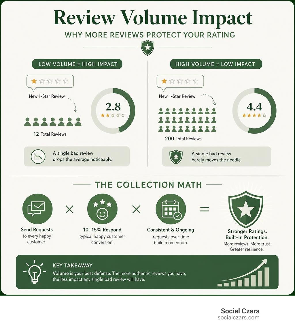 Infographic detailing review volume impact and collection math infographic Infographic detailing review volume impact and collection math infographic