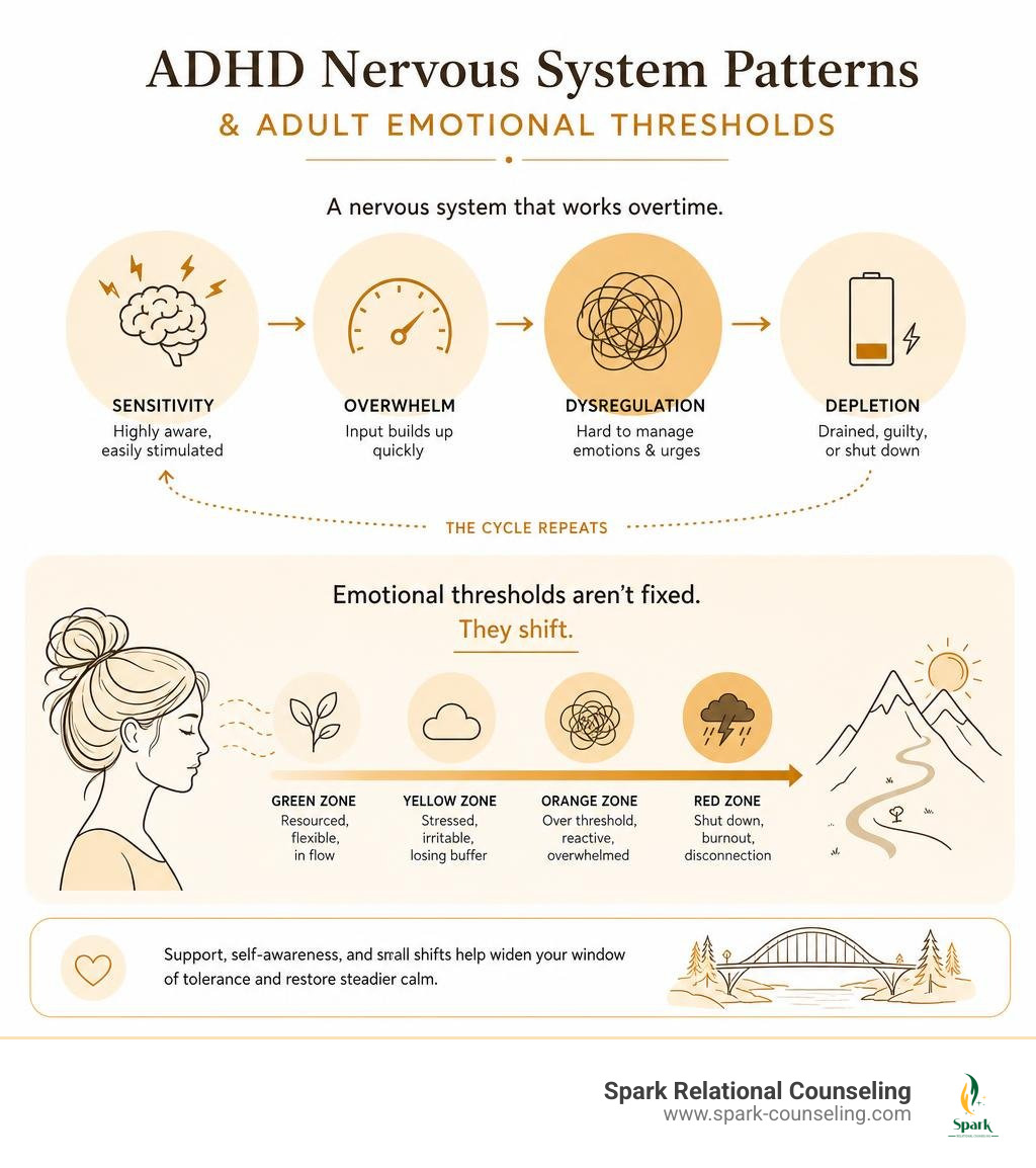 simple amber-toned infographic about ADHD nervous system patterns and adult emotional thresholds infographic simple amber-toned infographic about ADHD nervous system patterns and adult emotional thresholds infographic