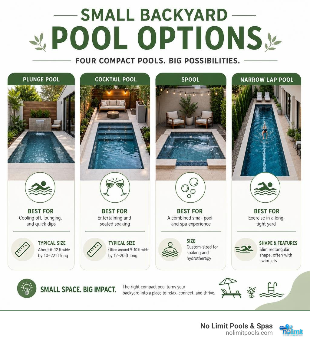 Small backyard pool options: plunge pool, cocktail pool, spool, and narrow lap pool infographic