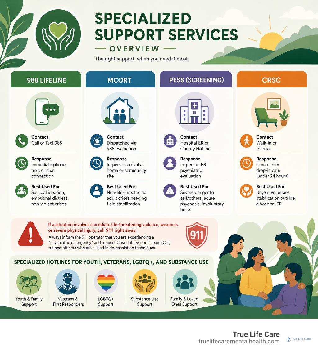 specialized support services overview infographic specialized support services overview infographic