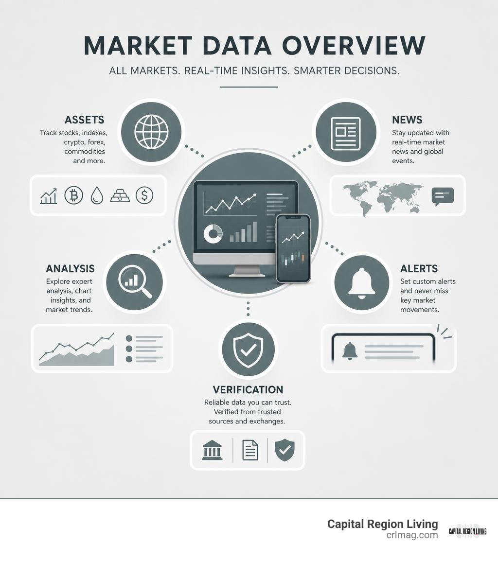 FintechZoom market data overview: assets, news, analysis, alerts, and verification infographic