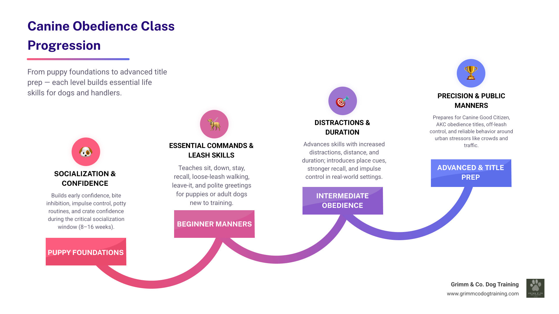 Puppy to advanced canine obedience class progression infographic Puppy to advanced canine obedience class progression infographic