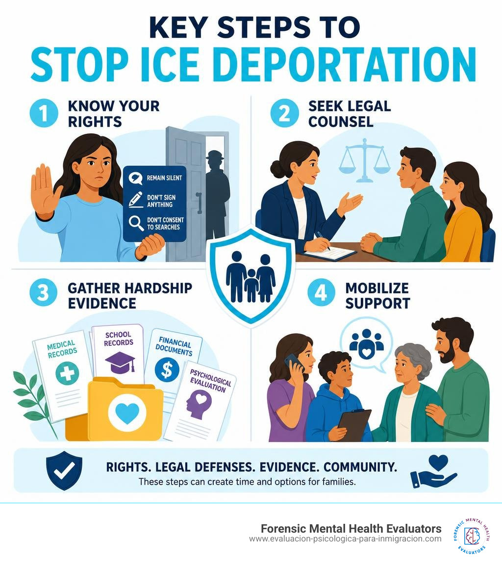 Key steps to stop ICE deportation: know rights, seek counsel, gather hardship evidence, mobilize support infographic