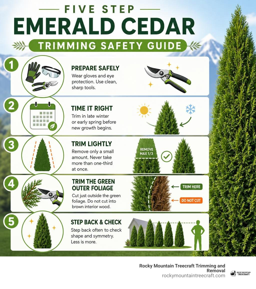 five step emerald cedar trimming safety guide infographic five step emerald cedar trimming safety guide infographic