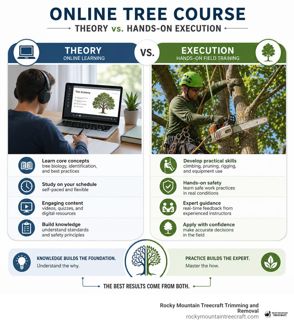 Comparison of online tree course theory versus hands-on field execution infographic