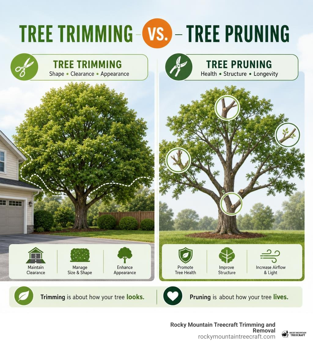 tree trimming versus pruning distinction infographic