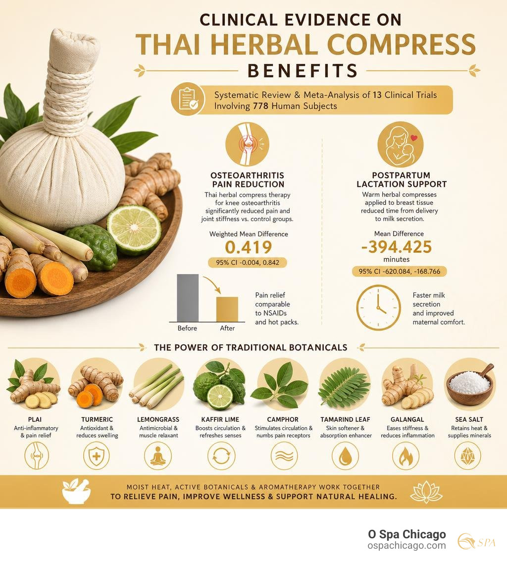 Clinical evidence on Thai herbal compress benefits infographic Clinical evidence on Thai herbal compress benefits infographic