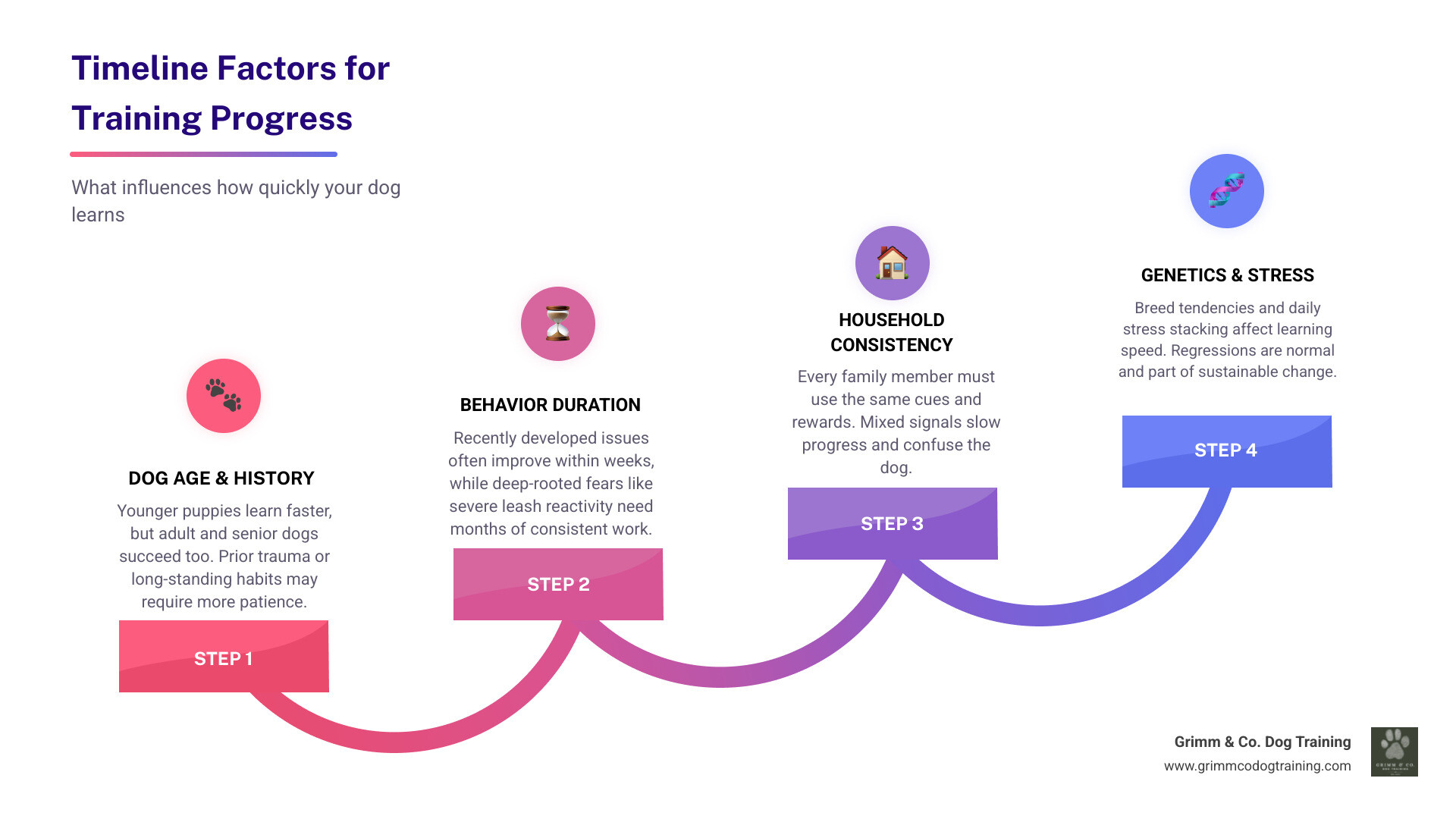 Timeline factors for dog training progress infographic Timeline factors for dog training progress infographic