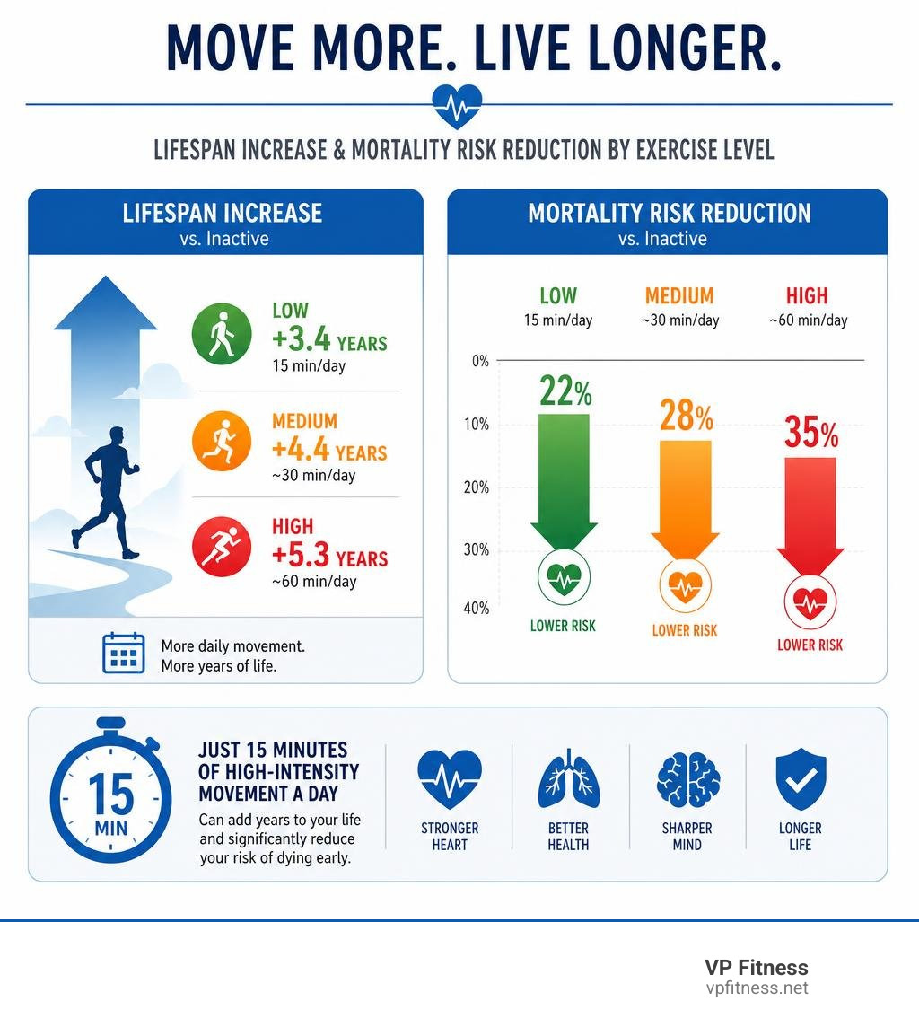 Lifespan increase and mortality risk reduction by exercise level infographic Lifespan increase and mortality risk reduction by exercise level infographic