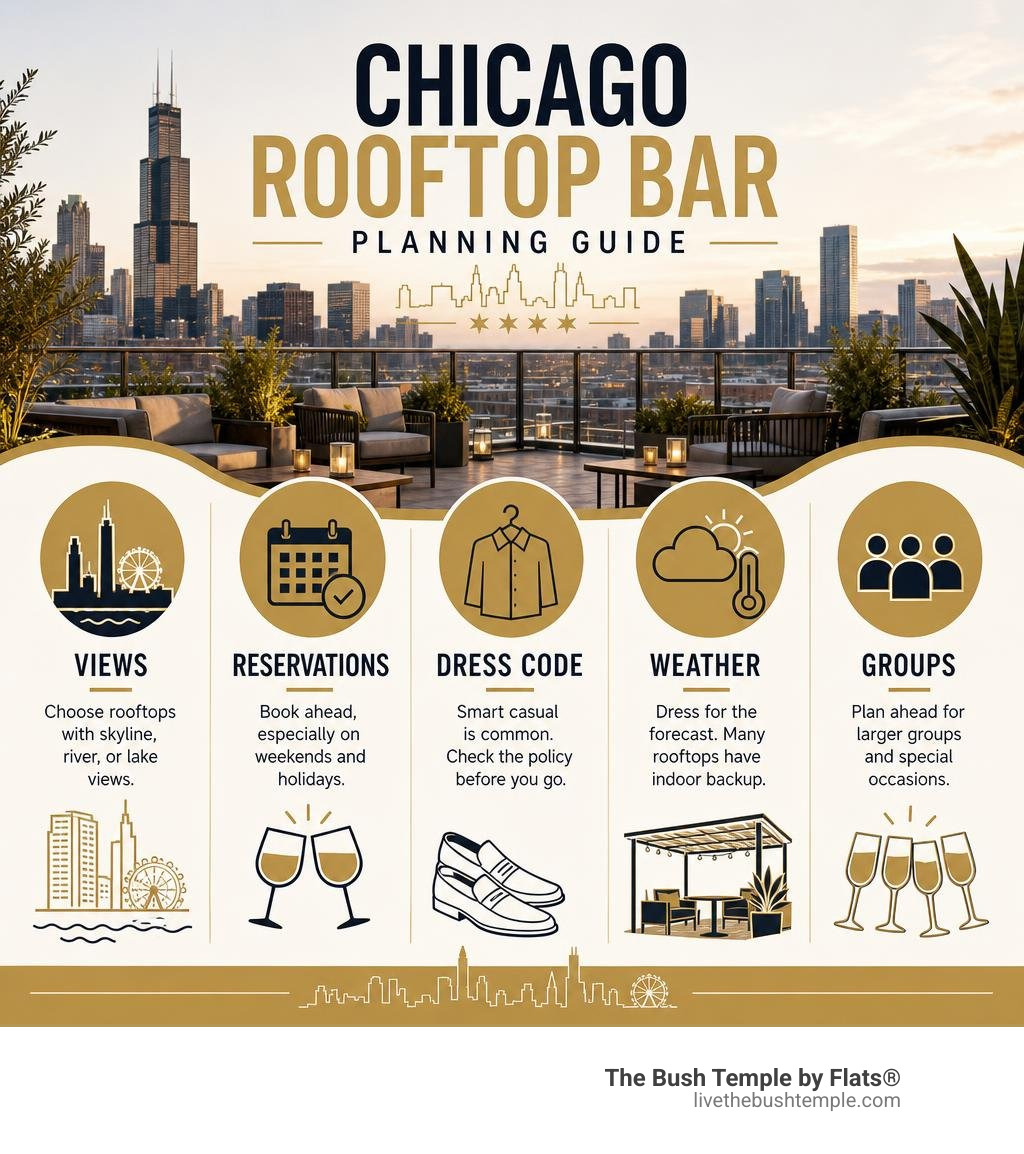 Chicago rooftop bar planning infographic: views, reservations, dress code, weather, groups infographic
