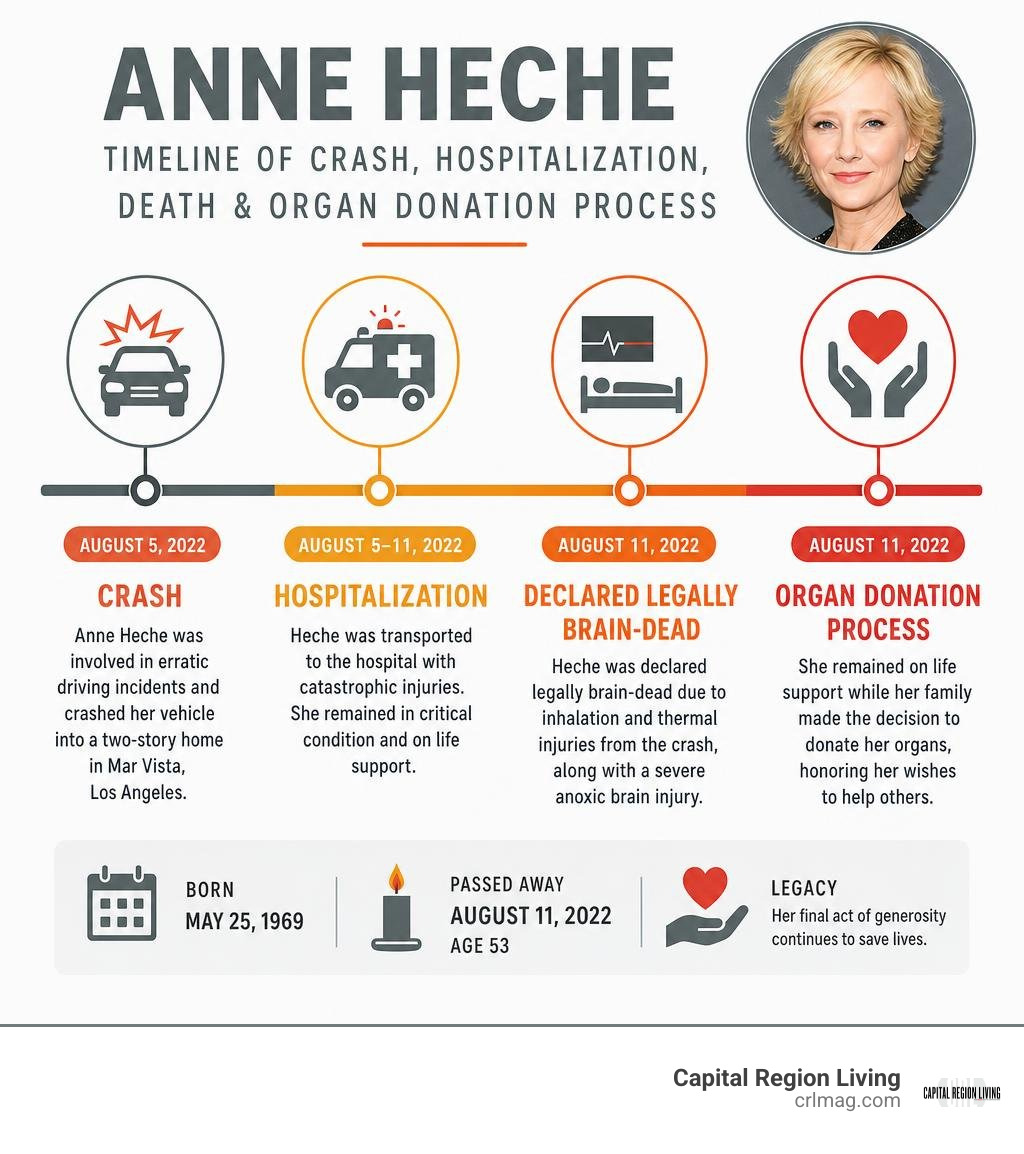 Timeline of Anne Heche's crash, hospitalization, death, and organ donation process infographic