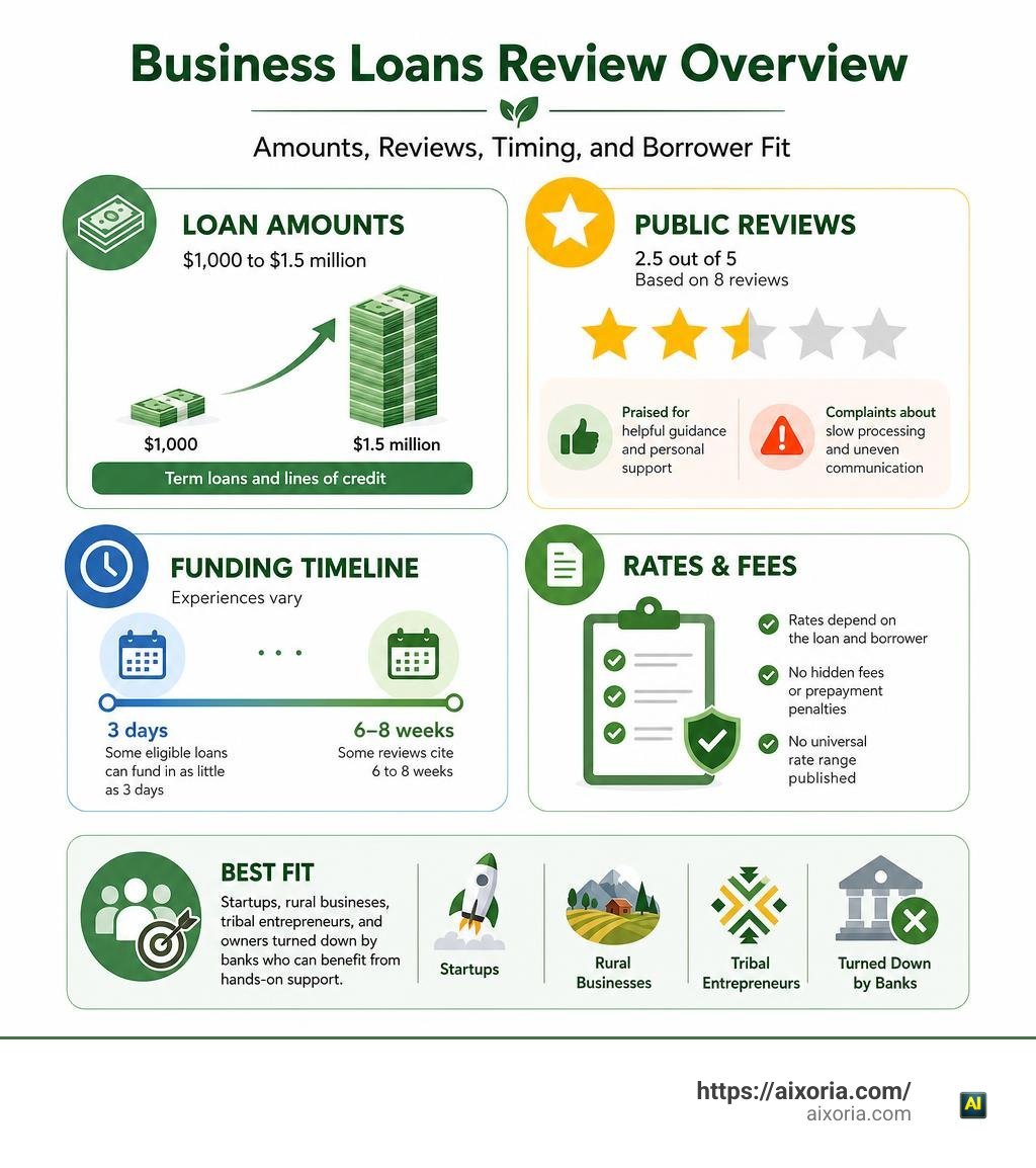 MoFi business loans review overview: amounts, reviews, timing, and borrower fit infographic