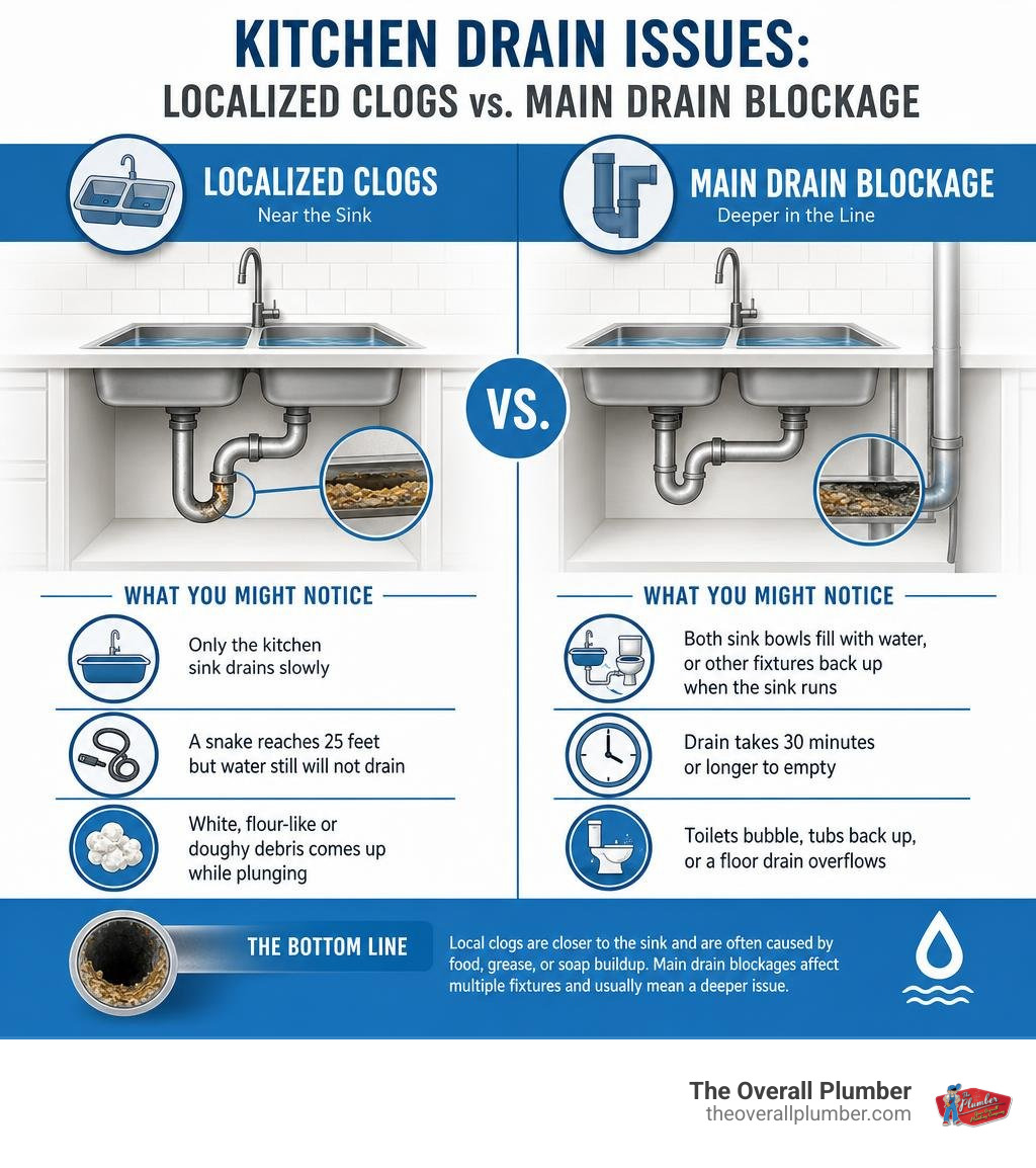 Infographic comparing localized kitchen clogs and main drain blockage signs infographic Infographic comparing localized kitchen clogs and main drain blockage signs infographic