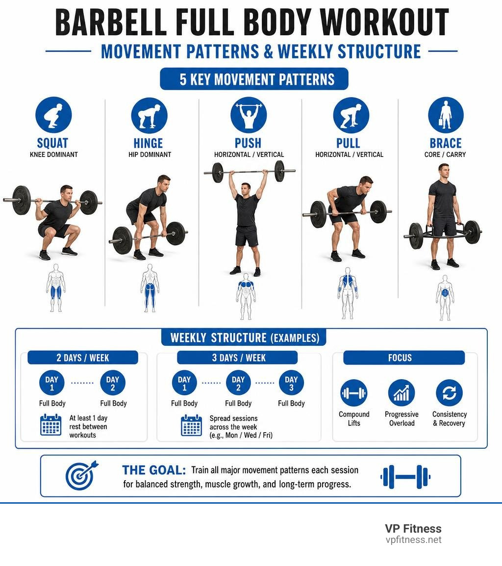 Full body barbell workout movement patterns and weekly structure infographic Full body barbell workout movement patterns and weekly structure infographic