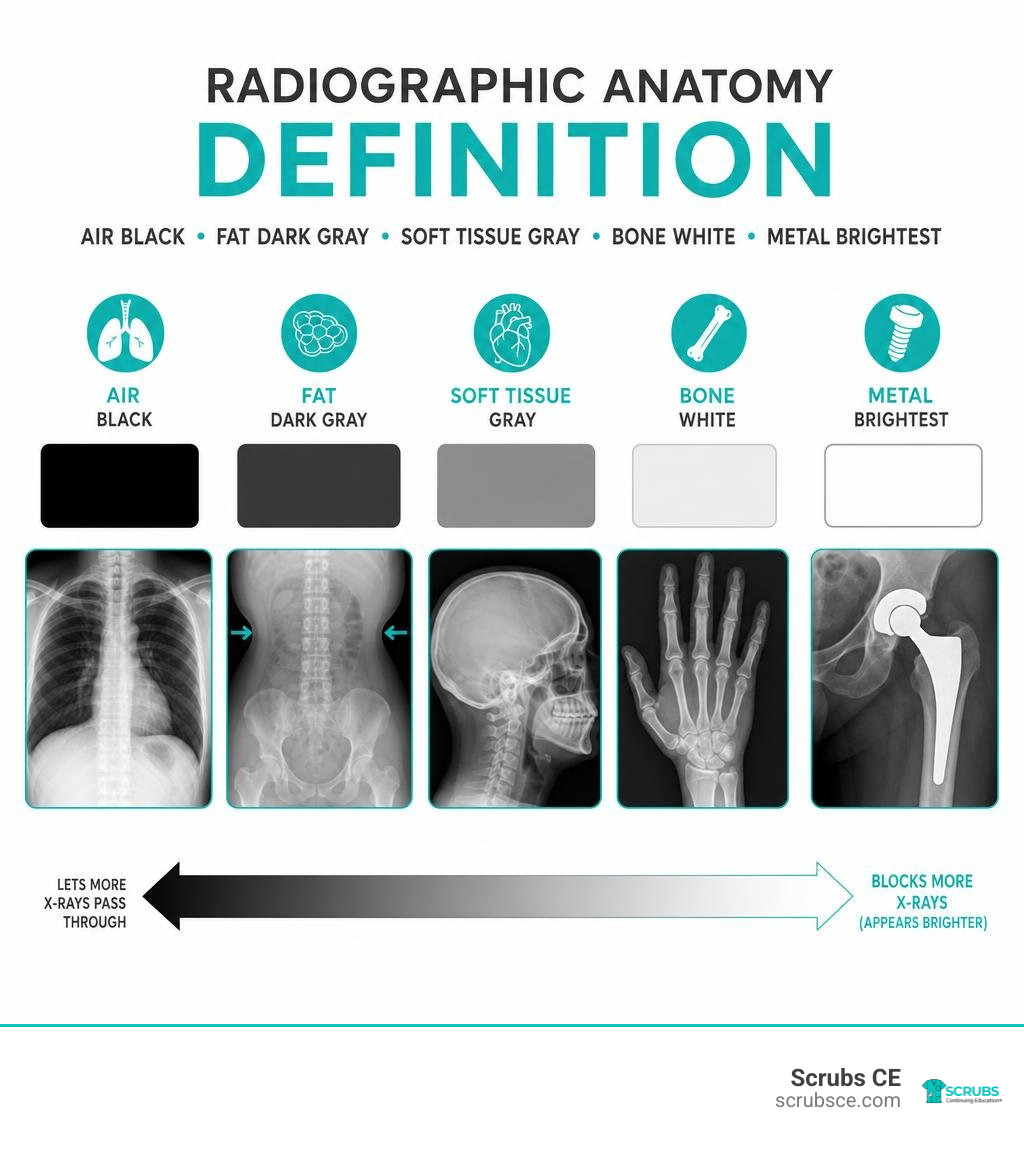 Radiographic anatomy definition: air black, fat dark gray, soft tissue gray, bone white, metal brightest infographic Radiographic anatomy definition: air black, fat dark gray, soft tissue gray, bone white, metal brightest infographic