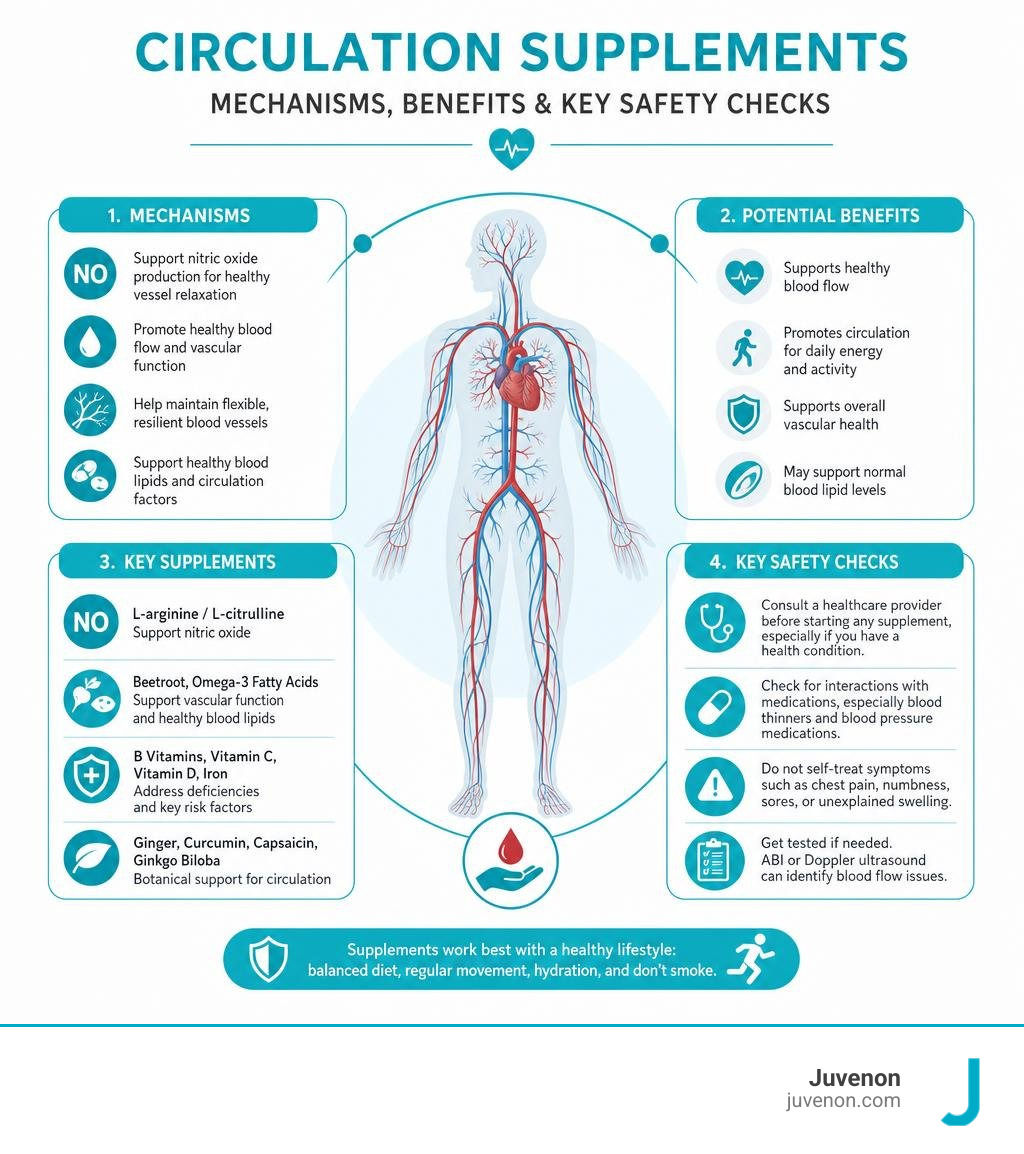 Circulation supplements, mechanisms, benefits, and key safety checks infographic