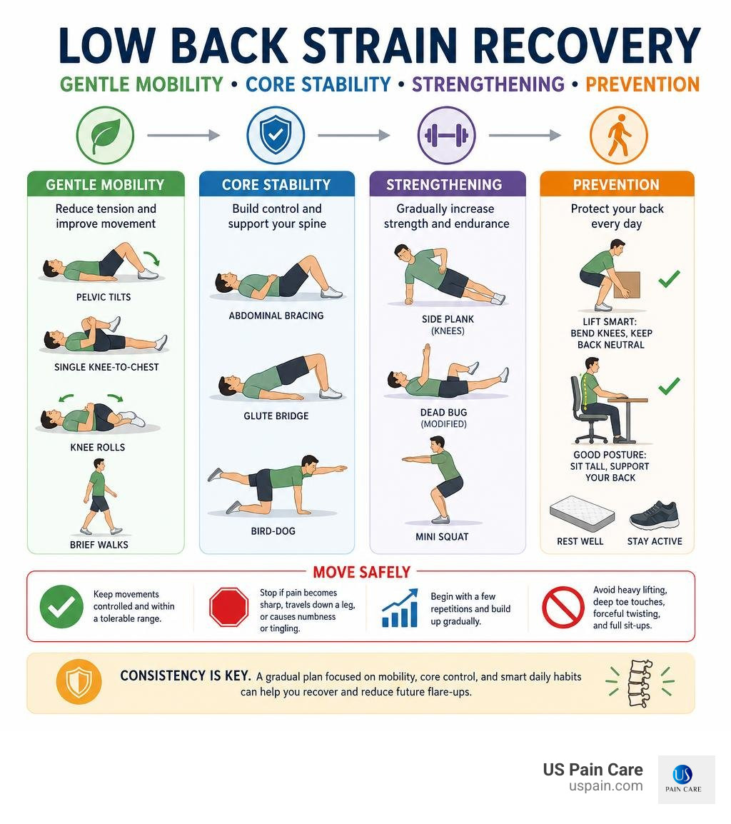 Low back strain recovery: gentle mobility, core stability, strengthening, and prevention infographic Low back strain recovery: gentle mobility, core stability, strengthening, and prevention infographic